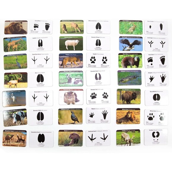 The Young Scientists Club Animal Tracks Game, STEM Kits For Kids Age 5+ NEW - Picture 4 of 6